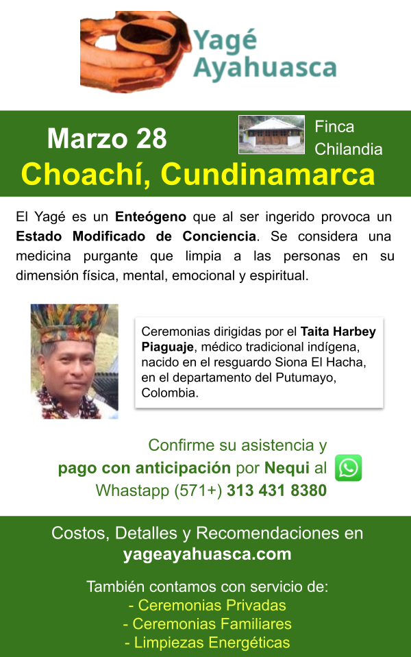 VolanteChoachi 01y02 08 2025